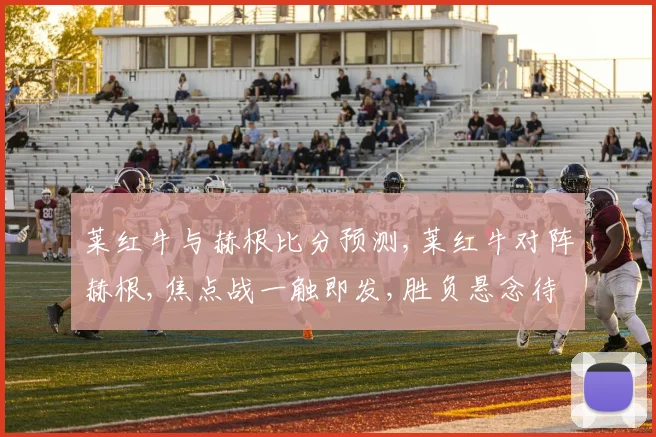 莱红牛与赫根比分预测,莱红牛对阵赫根,焦点战一触即发,胜负悬念待揭晓,谁将笑傲绿茵场